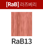 [프리미언스] RaB11
